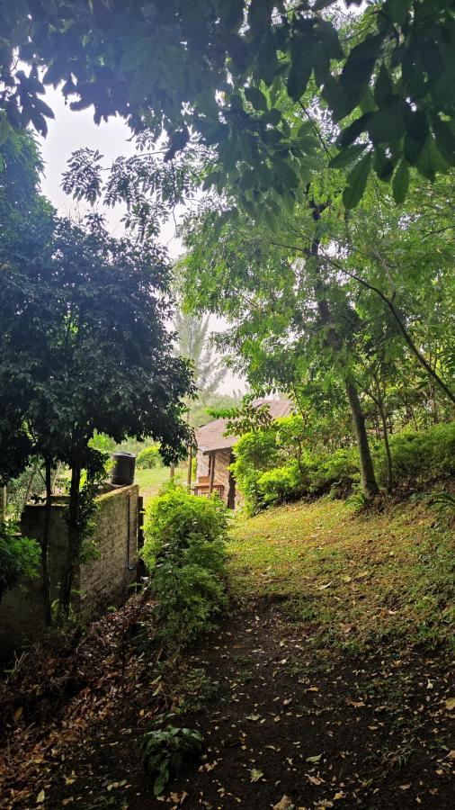 Lake Lyantonde Eco Campsite Original Fort Portal Εξωτερικό φωτογραφία